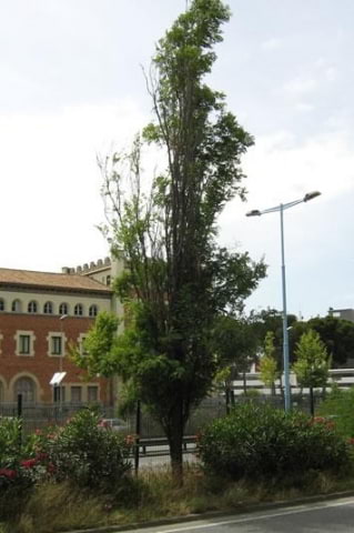 © Ajuntament de Barcelona