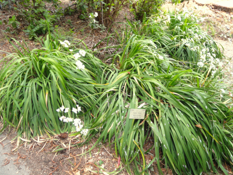 Font: Wikipedia - Creative Commons