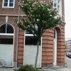 © Comunicación-Vegetal, S.L. http://www.comunicacionvegetal.com/index.php?r=1&fm_abc_eg=0&fm_eg=251&fm_ev=463&fm_ep=0&fm_por=0
