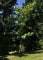 © UFEI, Urban Forest Ecosystem Institute, College of Agriculture at California Polytechnic State University, USA http://selectree.calpoly.edu/