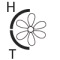 Època de floració - Tardor/Hivern