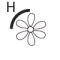 Època de floració - Hivern