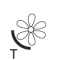 Època de floració - Tardor
